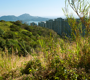STRAVA HK Trail 1st half JPG