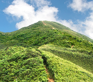 STRAVA HK Trail 2nd half JPG