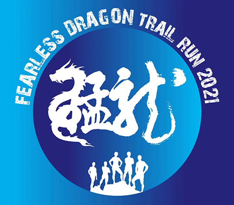 Fearless Dragon GIF