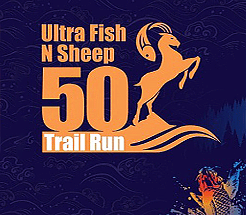 Fishsheep GIF