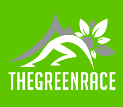 Greenrace Plover GIF